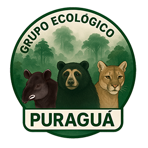 logoPuraguálow